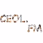 Ceol FM - Songs logo