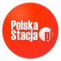 PolskaStacja - Punk logo