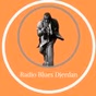 Radio Blues Djerdan logo