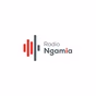Radio Ngamia logo