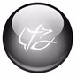 Calvary Radio Network - WTZY logo