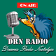 Logo de DRN Radio