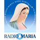 Logo de Radio Maria Boston - WWBX-SCA1