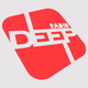 Logo de Radio Deep Romania