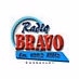 Logo de Bravo Radio