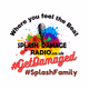 Logo de Splash Damage Radio