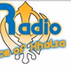 Logo de Radio Voice Of Khalsa