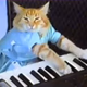 Logo de Keyboard Cat