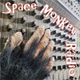 Logo de Space Monkey Radio
