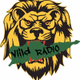Logo de ViiLD Urban