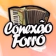 Logo de Rádio Conexão Forró