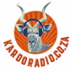 Logo de Karoo Radio