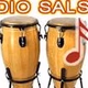 Logo de Radio Salson
