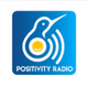 Logo de Positively Vibe