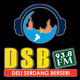 Logo de DSB FM 93.8 Deliserdang