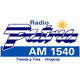 Logo de Radio Patria