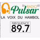 Logo de Radio Pulsar Katiola