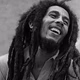 Logo de Roots Rock Reggae