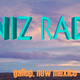 Logo de KNIZ 90.1 FM