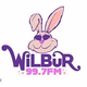 Logo de 99.7 WiLBuR Radio - WLBR