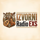 Logo de Izvorni Radio EXS