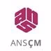 Logo de ANS ÇM 102 FM