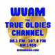 Logo de 98.1 and 107.9 WVAM - W300AQ