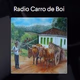 Logo de Radio Carro de Boi