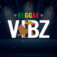 Logo de Radio Reggae Vibz