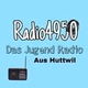 Logo de Radio 4950