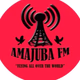 Logo de Amajuba Fm