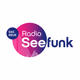 Logo de Radio Seefunk - 70er pur