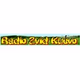 Logo de Radio Zvizd