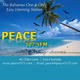 Logo de Peace 107.5 FM