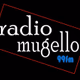 Logo de Radio Mugello