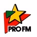 Logo de ProFM - ProFM '80s
