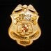 Logo de Montgomery County, MA Police