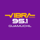 Logo de Vibra Radio - XHCCCI