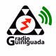 Logo de Radio Guiniguada