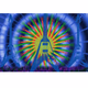 Logo de TyeDyeBlues