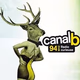 Logo de Canal B