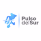 Logo de Pulso del Sur