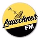 Logo de Lauschner FM