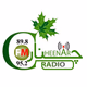 Logo de چنار راډيو