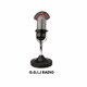 Logo de GGIJ RADIO