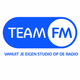 Logo de Team FM - Hitradio Engelstalige Hits