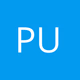 Logo de Pulsante Web Radio